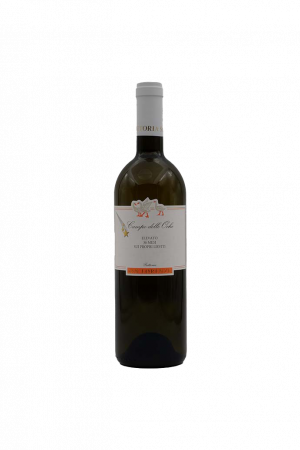 Fattoria San Lorenzo