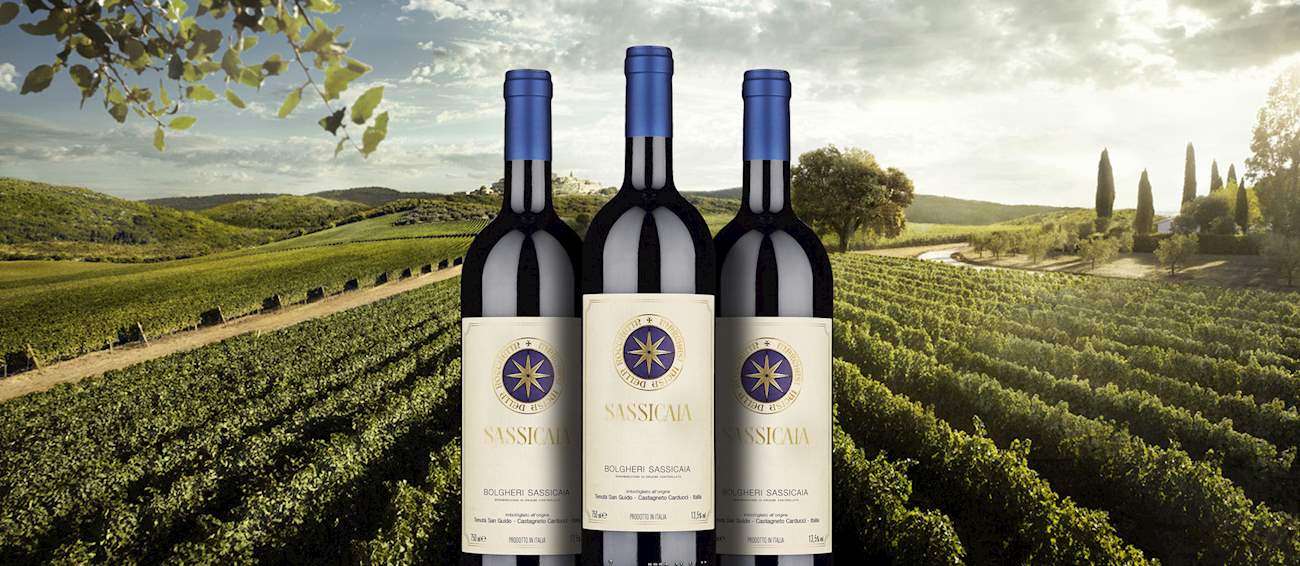 sassicaia